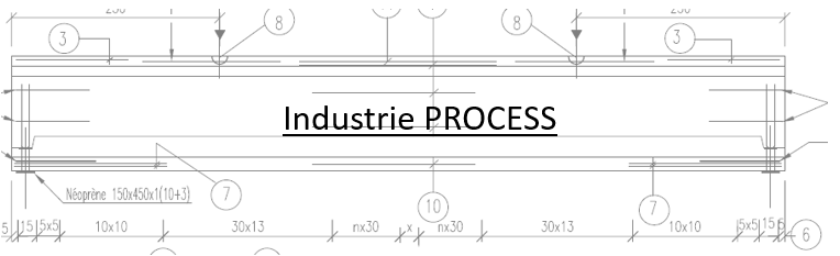 INDUSTRIE PROCESS